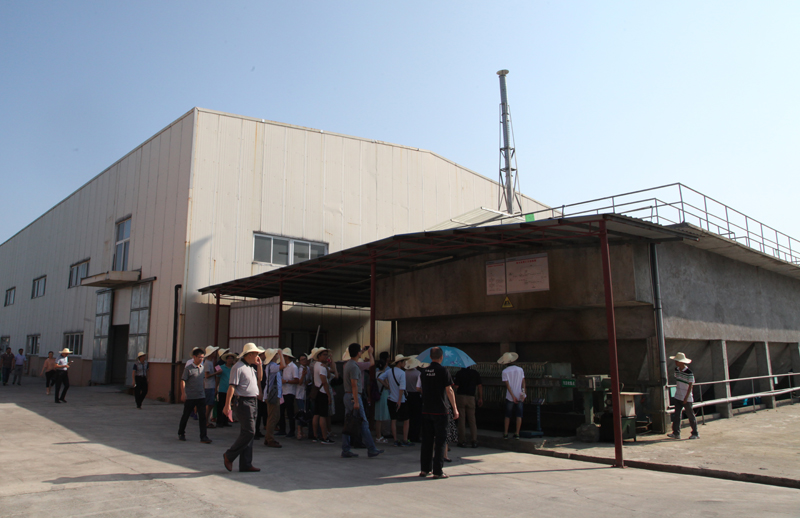 污水處理池觀看處理工藝